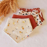 Lot de bavoirs bandana