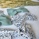 nœuds-papillon-en-tissu-bleu-et-vert